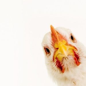 Meet your Posher, Alejandra